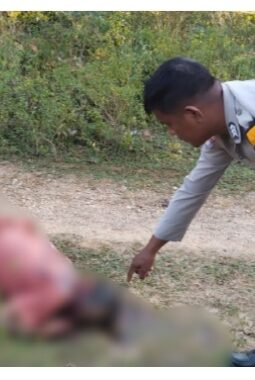 Usai Minum Kameko Bersama, Satu Nyawa Melayang Ditangan Kerabat di Lalemba Mubar