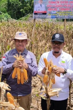 5 Daerah di Sultra Terima Cipratan Dana Segar Dari Pusat, Muna Terbesar Rp137,5 Miliar