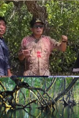 Gomberto Inisiasi! Pemkab Muna dan Pemprov Sultra Dukung Ekowisata Mangrove Lasalepa