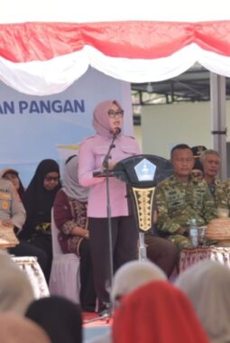 Armada Rusak, TPA Penuh: Ini Bom Waktu Sampah Kendari Yang Diakui Wali Kota