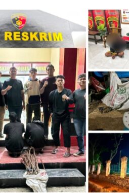 Cari Duit Instan, 2 Pria Ini Pilih Curi Pagar Alun-Alun Kota Raha