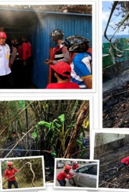 Tak Hanya Padamkan Api, Damkar Baubau Evakuasi Ular, Buka Kunci Mobil Hingga Antar Warga Sakit