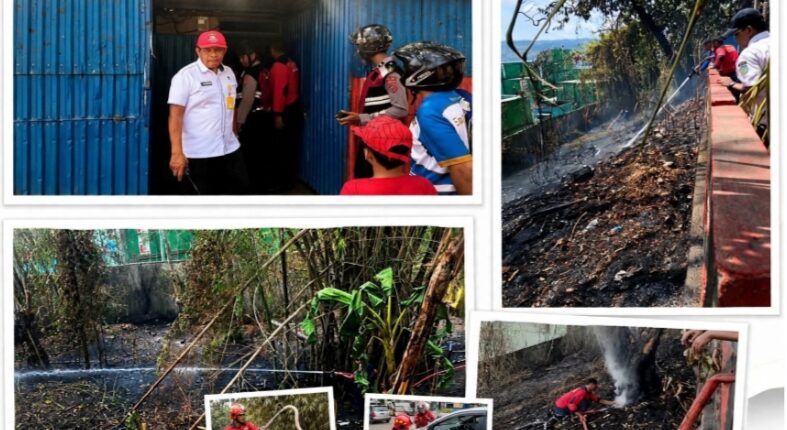 foto slider headline