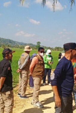 BPBD-Distan Baubau Tinjau Sawah Kekeringan di Bungi: Petani Butuh Air