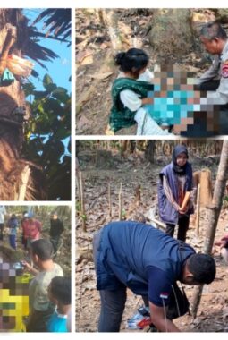 Tali Pengaman Terlepas, Penyadap Enau di Waulai Mubar Meninggal