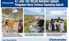 4,1 Juta Ton! BULOG Bukukan Capaian Pengadaan Beras Terbesar Sepanjang Sejarah