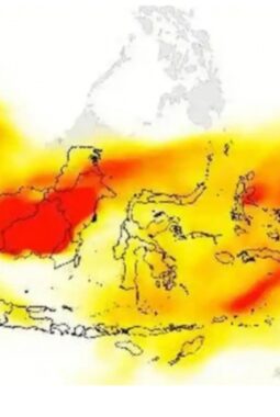 BMKG: 17 Wilayah di Sultra Terdampak Kabut Asap Kategori Sedang, Jarak Pandang Turun di Bawah 5 Km