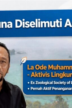 Asap Selimuti Kota Raha, Aktivis Lingkungan Minta Pemda Ambil Langkah Penanganan